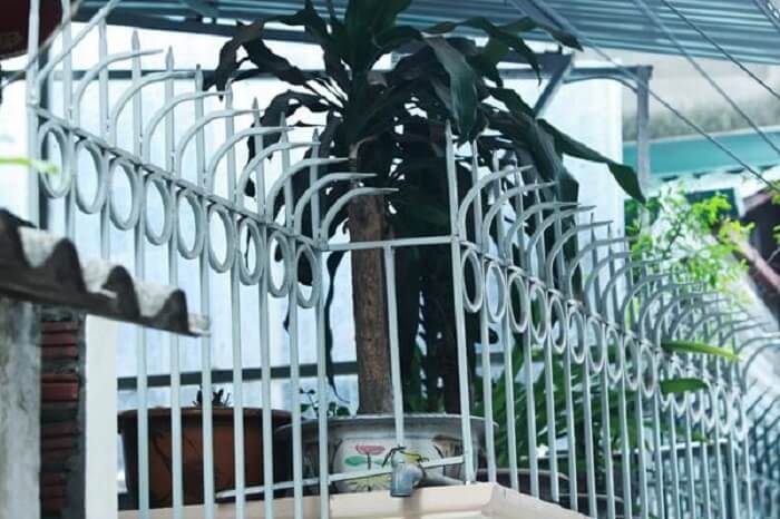 Thi công hàng rào chông sắt tại Phường Thủ Dầu Một TP HCM